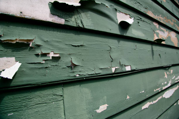Best Dumpster Rental Services  in Salmon, ID