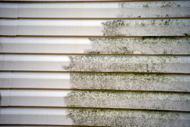 Best Hoarding Cleanup  in Salmon, ID